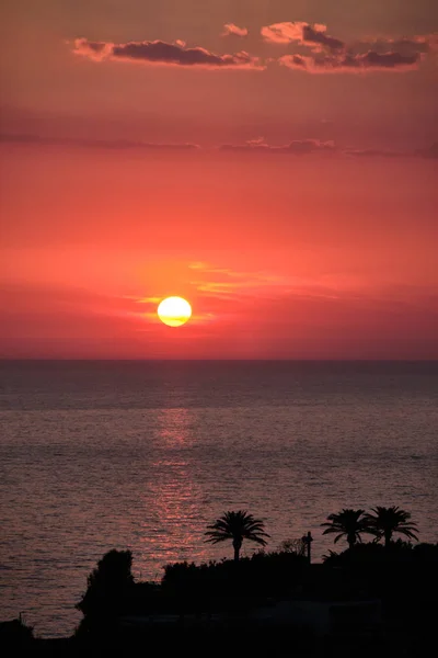 Sonnenuntergang mit Palmensilhouette in Forio — Stockfoto