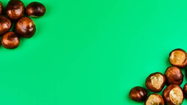 Kopya alanı ile kestane tohumu