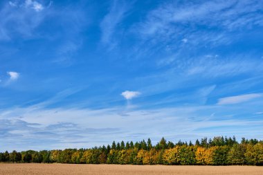 Orman tarlasına sürülmüş