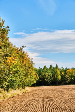 Orman tarlasına sürülmüş