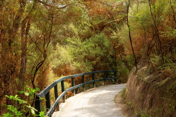 Yeni Zelanda 'da bahar boyunca doğayı izlemek için uzun bir yol yürüyün..