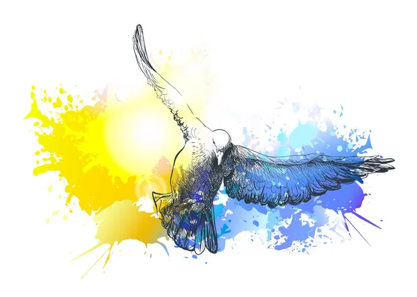 Les Oiseaux Volent Peinture Vectorielle Colombe Colorée — Image vectorielle