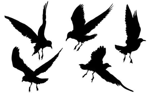 Pájaros Gaviotas Volando Dibujando Ilustración Vectorial — Vector de stock