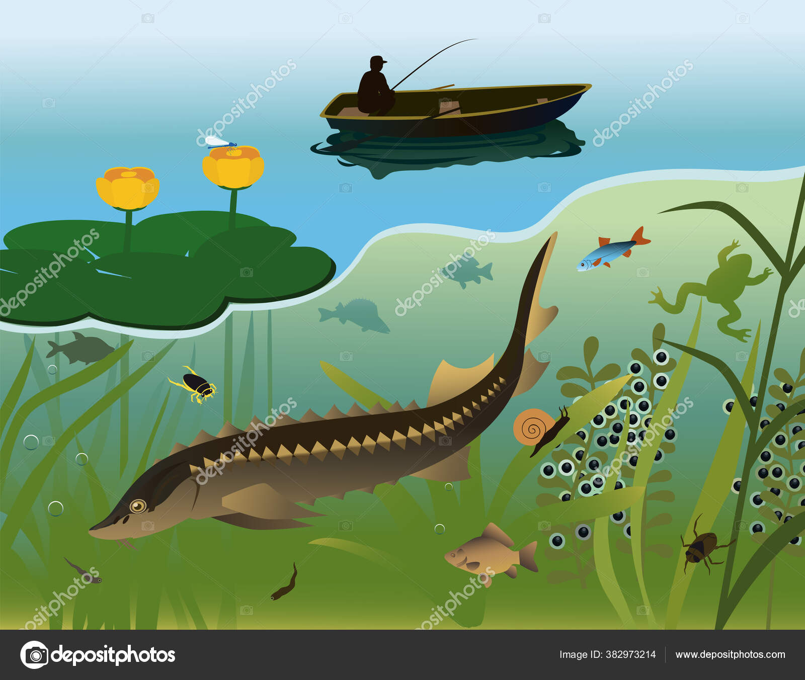 Lake Freshwater Fish Animals Insects Aquatic Plants Flowers Fisherman Boat  Stock Vector Image by ©Valentinash #382973214