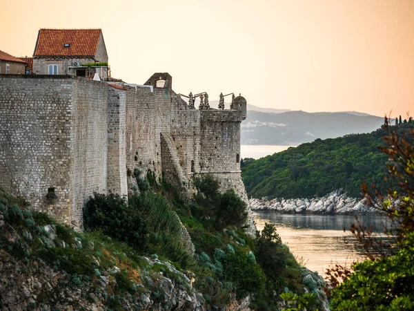 Dubrovnik Croacia Vista Las Murallas Ciudad Construida Sobre Vegetación Cubierta — Foto de Stock