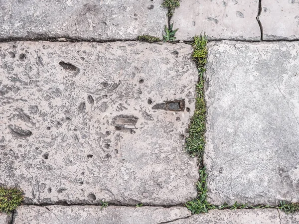 Primer Plano Pasarela Pavimentada Piedra Con Trozos Hierba Verde Cantando —  Fotos de Stock