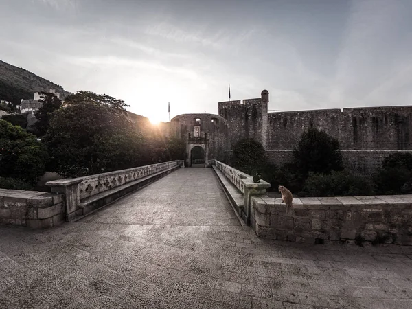 Photograph of one of the entry gates and draw bridge through the historic fortified stone city walls around old town in Dubrovnik Croatia.