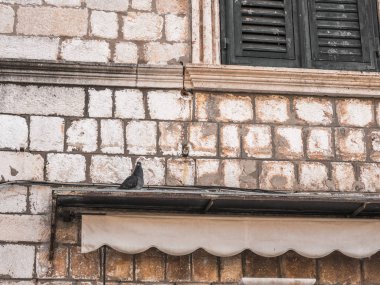 Bir çıkıntının üstüne bir taş duvar ahşap kepenkleri yukarıdaki ile Dubrovnik Hırvatistan Eski kentte bina retrakte tente oturan güvercin.
