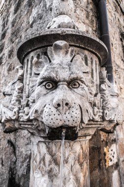 Bir eski tarihi su çeşme yaratık karikatür yüz bir beyaz duvar duvara Dubrovnik Hırvatistan'dan çıkıntılı çiçek dekorasyonu ile portre fotoğrafı.