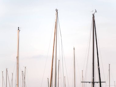 En iyi tekne direkleri, gülleri ve Chicago'da bir liman ile mavi ve bulutlu gökyüzü yukarıda oturan teknelerden ipler portre fotoğrafı.