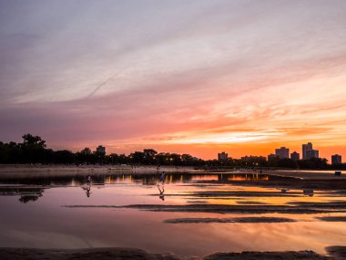 Chicago, Il - 14 Haziran 2018: çocuk oyun, çalıştırmak ve splash Michigan Gölü üzerinde su dolu Montrose sahilde su birikintileri Perşembe akşam gün batımında arasında.