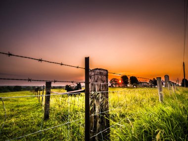 A male bull and female beef cow stand side by side in a fenced in cattle pasture with green grass as the sun rises with beautiful orange colored skies and farm beyond in Galena Illinois. clipart