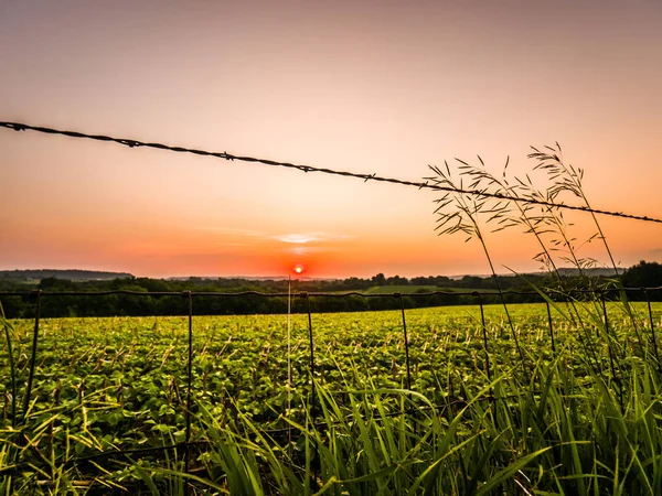 Lindo Pôr Sol Colorido Céu Laranja Sobre Uma Fazenda Rural — Fotografia de Stock