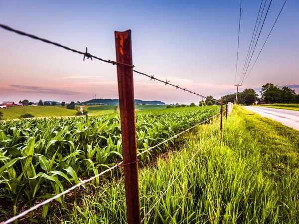 Wunderschöne Bunte Sonnenuntergang Über Einem Ländlichen Bauernhof Feld Landschaft Mit — Stockfoto