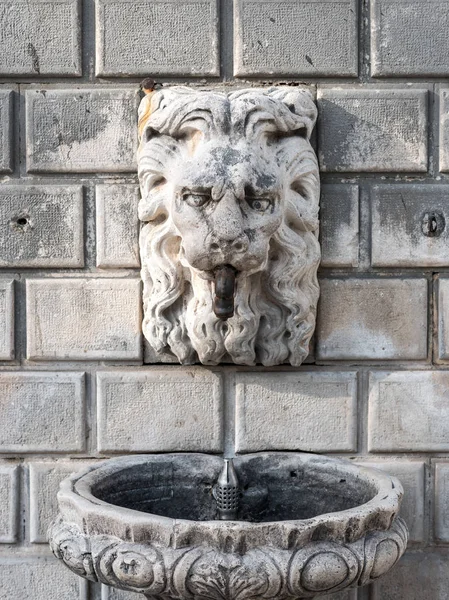 Een Close Foto Van Een Oude Verweerde Lion Sculpture Drinkfontein — Stockfoto