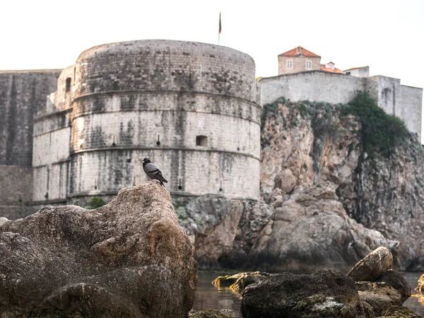 Tarihi Duvar görünümünü surlar Adriyatik Denizi üzerinde sarp bir kayalık uçurum güneşli bir günde Dubrovnik, Hırvatistan'da oturan yuvarlak köşe yapısı ile takviye edilmiş.