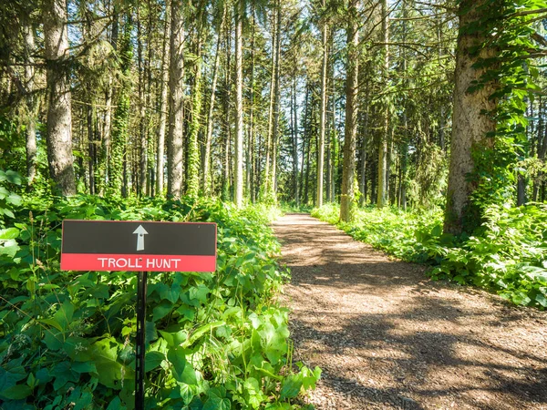 Lisle July 7Th 2018 Troll Hunt Signs Guide Visitors Several — Stock Photo, Image