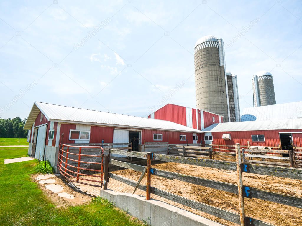 Beautiful background photograph of a farm with red and white steel sheds, wood fence and cattle yard with concrete silos beyond with blue sky above and grass below.