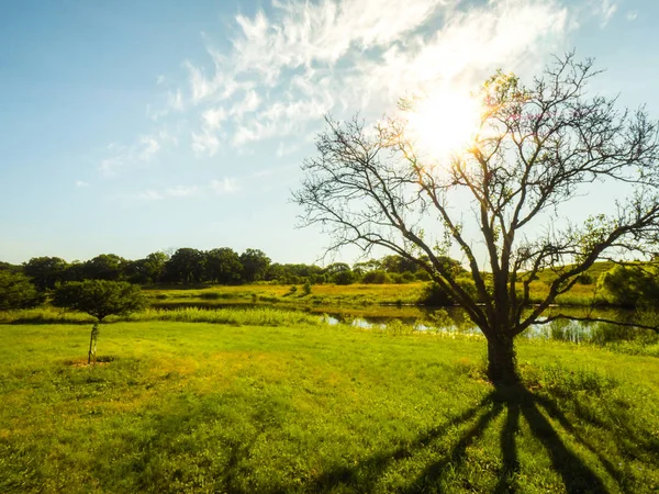 Beautiful nature photograph with a starburst of the sun as it radiates out over a pond and trees below set in a prairie landscape near a hiking trail or path.