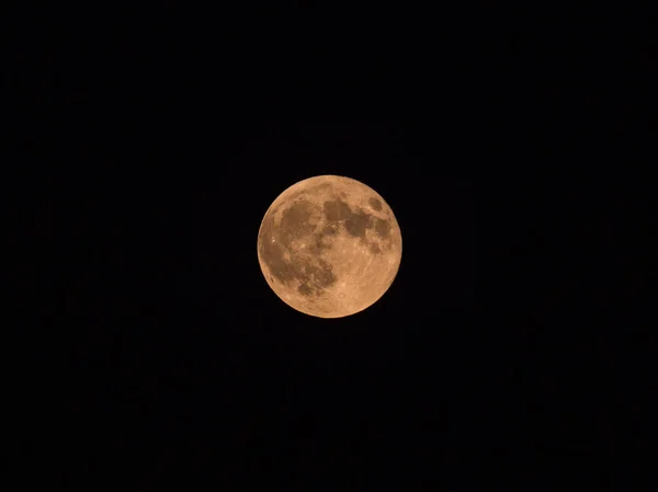 Beautiful Close Photograph Full Micro Moon Yellow Hue Dark Black — Stock Photo, Image