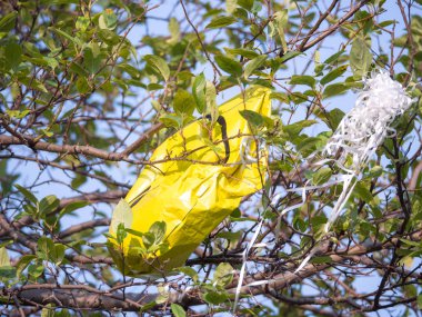 Chicago, Il - 25th Ağustos 2018: bir ağaçta dolaşmış gibi kısmen sönük sarı gülen yüz balon ve beyaz dize Montrose Beach yakınındaki genel bir park kirleten.