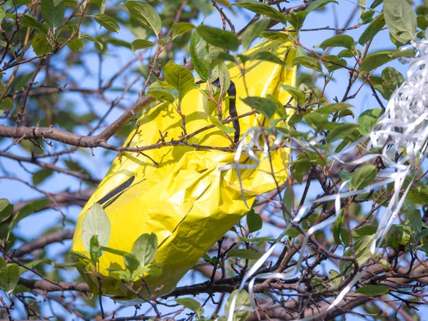 Chicago August 25Th 2018 Partially Deflated Yellow Smiley Face Balloon — Stock Photo, Image