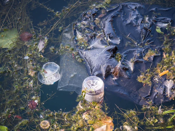 Chicago, Il - 25th Ağustos 2018: Spor plastik bir içki şişesi ve siyah çanta float Chicago Michigan Gölü suları kirletici Montose Harbor suda.