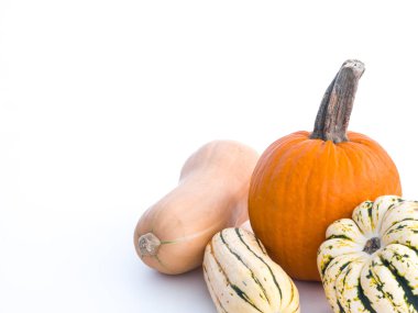 Güzel bir sonbahar ya da Şükran günü arka plan ile squash butternut, tatlı hamur tatlısı ve delicata ve portakal beyaz açık alan ile kabak gibi birçok çeşitleri.