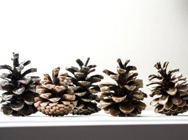 Bir raf veya bir güzel kış veya Noel tatil arka plan yapma beyaz duvar arka plan üzerinde izole çıkıntıya oturuyor yan profilden dik duran birkaç kahverengi çam kozalakları.