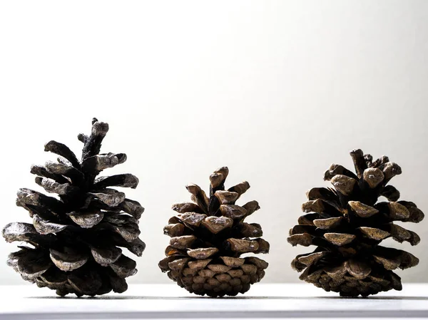 Several Brown Pine Cones Standing Upright Side Profile Sitting Shelf — Stock Photo, Image