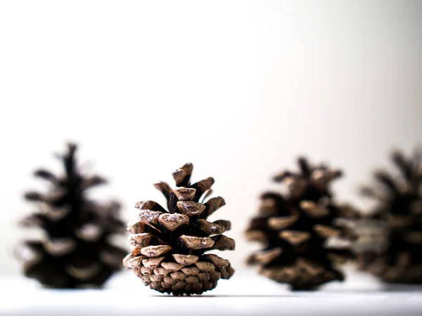 Several brown pine cones standing upright from side profile sitting on a shelf or ledge isolated on a white wall background making a beautiful winter or Christmas holiday background. — Stock Image Several Brown Pine Cones Standing Upright Side Profile Sitting Shelf Royalty Free Stock Photos