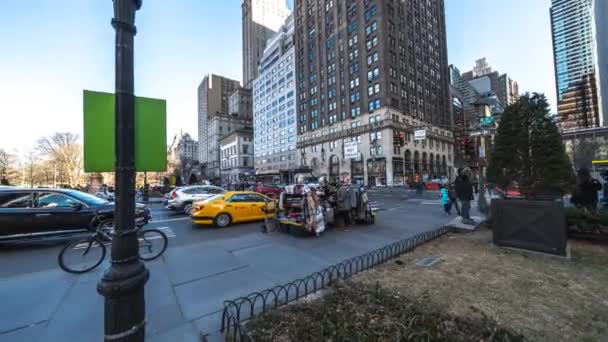 New York City New York Lutego 2019 Ulicznych Sprzedawców Sprzedaje — Wideo stockowe