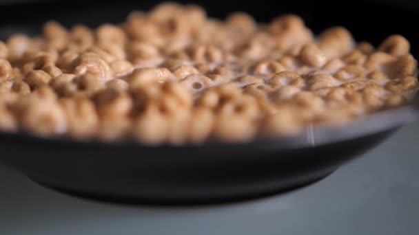 Ένα closeup ενός ανθρώπου χέρι και κουτάλι scooping ντόνατ σχήματος σιτηρών από ένα μαύρο μπολ γεμάτο με λευκό γάλα για το πρωινό και το φαγητό με το γάλα που στάζει μακριά το κουτάλι, δημιουργώντας φυσαλίδες. — Αρχείο Βίντεο