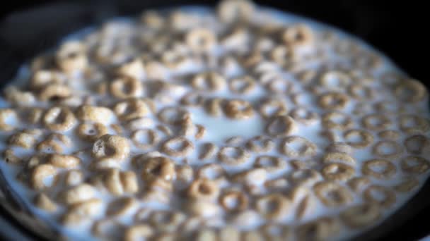 Un primer plano de la mano de un hombre y una cuchara sacando cereales en forma de rosquilla de un tazón negro lleno de leche blanca para el desayuno y comiéndola con leche goteando de la cuchara creando burbujas . — Vídeos de Stock
