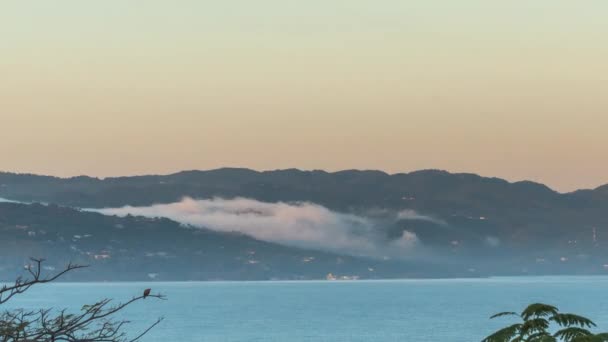 Zbliża się czas mgły zjeżdżającej w dół i nad wzgórzami po drugiej stronie zatoki od pasa biodrowego w Montego Bay Jamajka na Oceanie Atlantyckim otoczona dachem i drzewami, gdy ptaki i łodzie przelatują obok. — Wideo stockowe