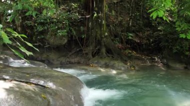 Kıyı şeridi boyunca bambu ve yeşillik ile Jamaika tropikal adada Mayfield Falls düz kayalık nehir yatağı üzerinde akar su gibi bir şelale hızlı bir yavaş hareket dikey kaydırma çekim.
