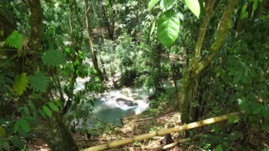 Bir doğa görünümü beyaz su rapids veya Mayfield Falls şelale ve nehir Jamaika tropikal adada popüler bir turizm parçası basamaklı ağaçlar ve bambu arasında aşağı bakıyor