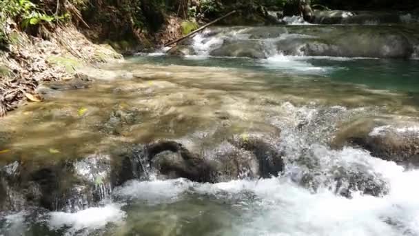 Vue panoramique verticale au ralenti des rapides et des chutes d'eau alors que l'eau coule sur le lit rocheux de la rivière à Mayfield Falls sur l'île tropicale de Jamaïque avec du bambou et du feuillage le long du rivage — Video