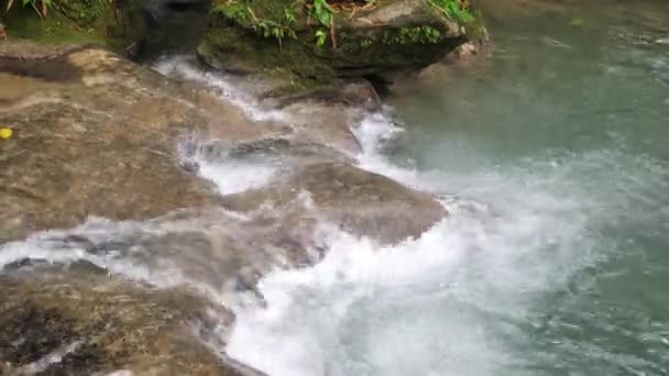 Jamaika popüler bir turizm beldesi nde Mayfield Falls nehirde şelale rapids veya çağlayanlar bir kayaların üzerinde akan su güzel bir yavaş hareket — Stok video