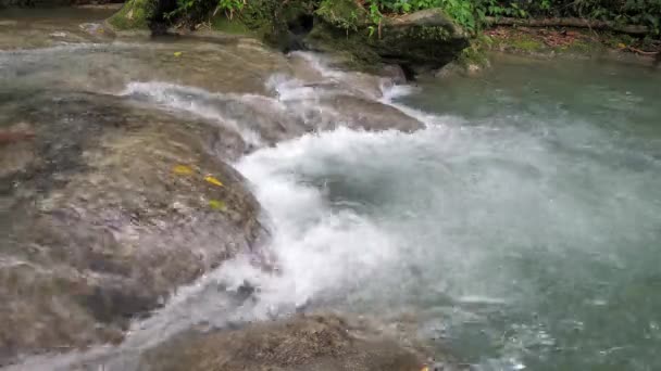Jamaika popüler bir turizm beldesi tropikal adada Mayfield Falls nehirde şelale rapids veya çağlayanlar bir kayaların üzerinde akan su güzel bir görünüm. — Stok video