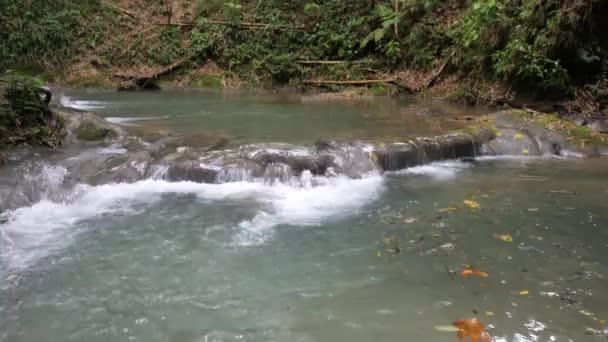 Una pentola al rallentatore di cascate di acque bianche o rapide in un fiume presso la cascata Mayfield Falls una popolare destinazione turistica o di viaggio in Giamaica con alberi, bambù e altre foglie sullo sfondo . — Video Stock