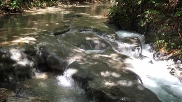 Uma vista de corredeiras de água branca em cascata sobre uma rocha aflorando em um rio na cachoeira Mayfield Falls um turista popular ou destino de viagem na Jamaica com folhagem no fundo . — Vídeo de Stock