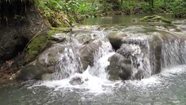 Een verticale pan en zoom van White waterstroom versnellingen trapsgewijs over rotsen in de rivier bij Mayfield Falls een populaire waterval toeristische activiteit op het tropische eiland Jamaica gelegen in de Caribische zee. — Stockvideo