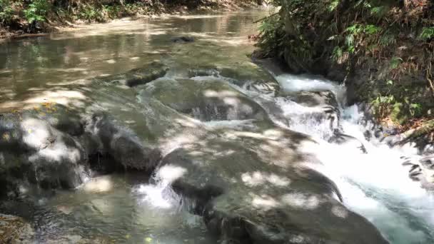 在梅菲尔德瀑布瀑布的河流中，白水急流在岩石上层层叠叠，这是牙买加的热门旅游或旅游目的地，背景是树叶. — 图库视频影像