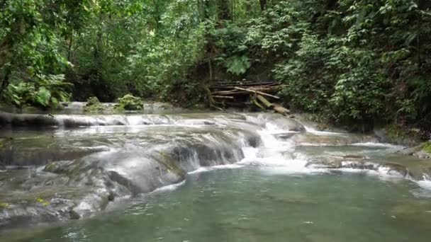 Une casserole de cascades d'eau vive ou de rapides dans une rivière à la cascade de Mayfield Falls une destination touristique ou touristique populaire en Jamaïque avec des arbres, du bambou et d'autres feuillages en arrière-plan . — Video