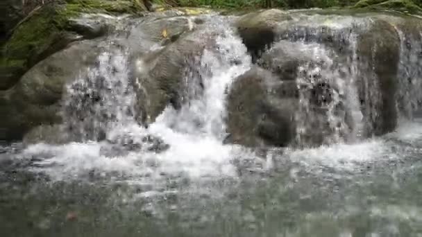 Um close-up câmera lenta de corredeiras de água branca em cascata sobre rochas no rio em Mayfield Falls uma atividade turística popular cachoeira na ilha tropical da Jamaica, localizada no Mar do Caribe . — Vídeo de Stock