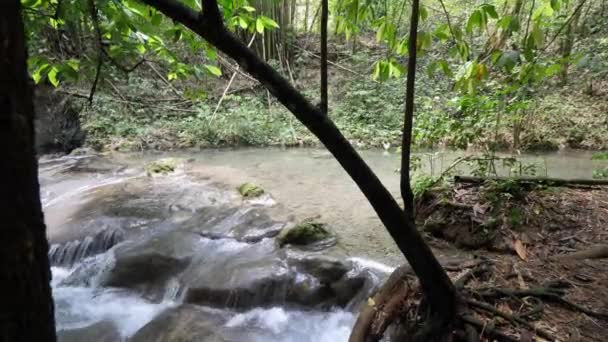 Une vue panoramique depuis le rivage de Mayfield Chutes de rapides d'eau vive ou d'eau en cascade au-dessus du lit lisse de la rivière rocheuse avec des arbres encadrant la vue . — Video