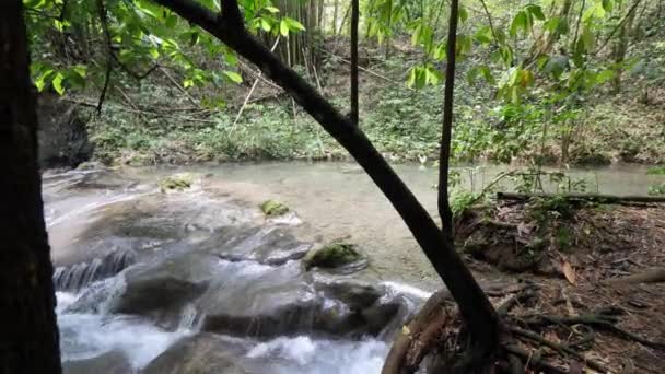 메이필드 폭포의 해안선에서 바라보는 경치를 감상할 수 있는 화이트 워터 급류 또는 나무가 있는 매끄러운 바위 강 바닥 위로 흘러내리는 물. — 비디오