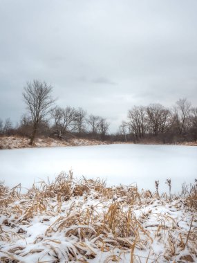Bir kar kaplı donmuş gölet ve ölü bitki örtüsü ve çıplak ağaçlar yukarıda bulutlu gökyüzü ile görünümü çerçeveleme ile kırsal Wisconsin güzel bir manzara winterscape fotoğraf.