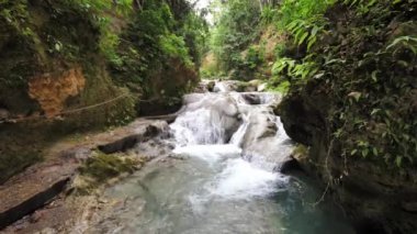 Muhteşem bir görünüm nehir astar lı yemyeşil bitki örtüsü ile Ocho Rios Jamaika güzel Cool Blue Hole turistik basamaklı şelaleler ve tropikal doğal havuzları nehir arıyor